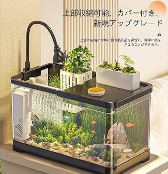水槽 aksy Amazon | アクリルメダカ水槽 金魚鉢 ミニアクアリウム LED